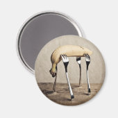 Banana Magnet (Vorderseite/Rückseite)