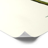 Banana Pen und Tinte Poster (Ecke)