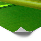 Banana-Pflanze Poster (Ecke)