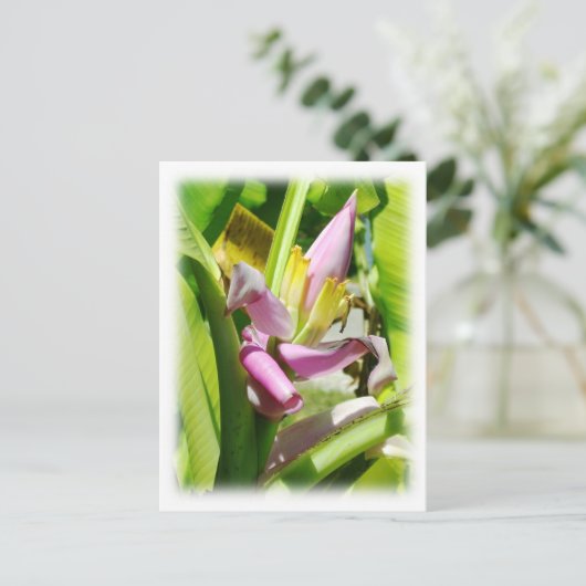 Banana-Pflanze Postkarte (Stehend Vorderseite)