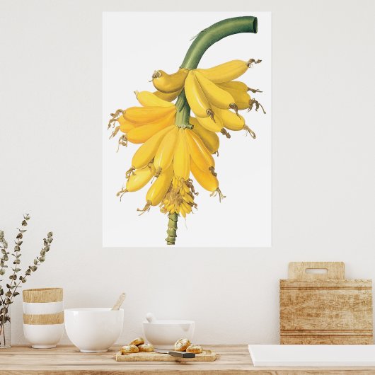 Banana Poster (Küche)