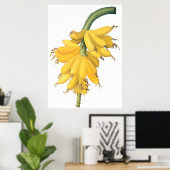 Banana Poster (Heimbüro)