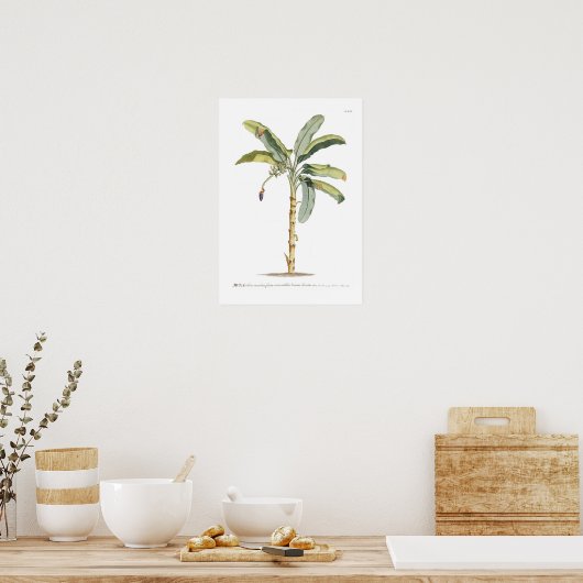 Banana Poster (Küche)