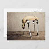 Banana Postkarte (Vorne/Hinten)