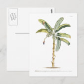 Banana Postkarte (Vorne/Hinten)