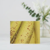 Banana Postkarte (Stehend Vorderseite)