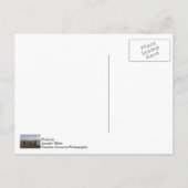 Banana River Dock Postkarte (Rückseite)