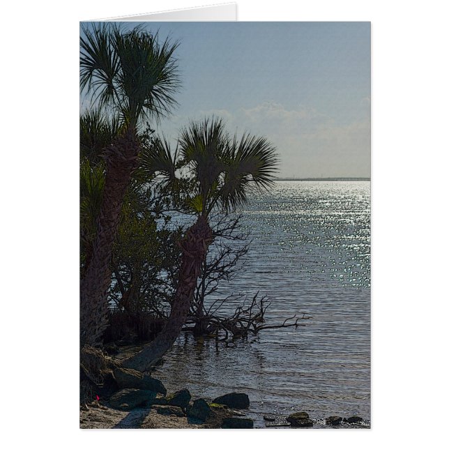 Banana River Palm Trees Painterly (Vorne)
