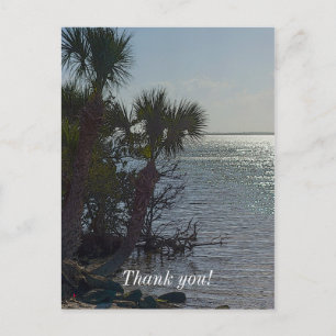 Banana River Palm Trees Painterly Postkarte