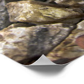 Banana Slug Art Poster (Ecke)