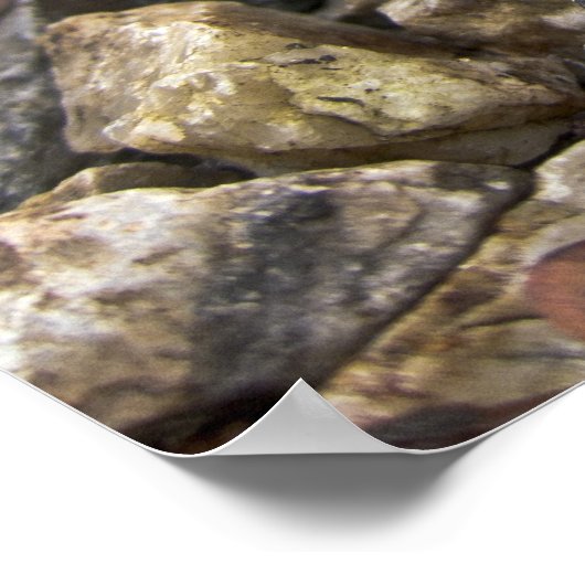 Banana Slug Art Poster (Ecke)