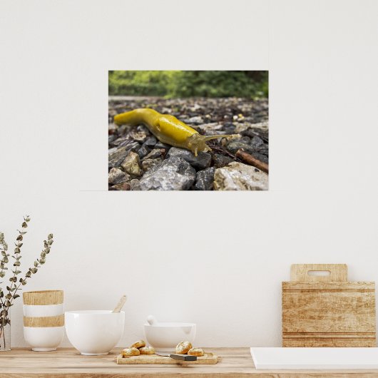 Banana Slug Art Poster (Küche)