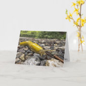Banana Slug-Karte Karte (Gelbe Blume)