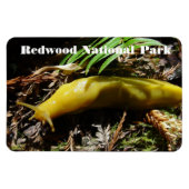Banana Slug Magnet (Horizontal)