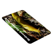 Banana Slug Magnet (Rechte Seite)