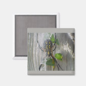 Banana Spider Magnet (Vorderseite/Rückseite)