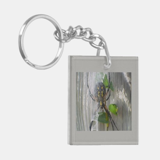 Banana Spider Schlüsselanhänger (Vorderseite links)