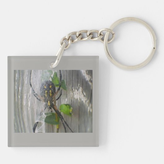 Banana Spider Schlüsselanhänger (Rückseite)