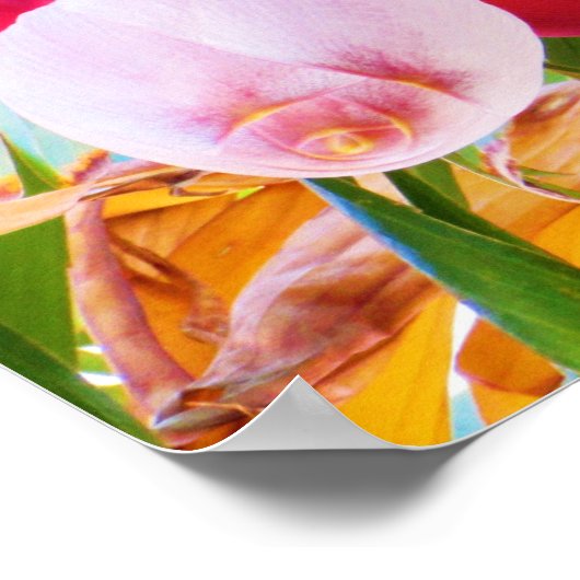 Banana Tree Bliss Poster (Ecke)