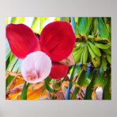 Banana Tree Bliss Poster (Vorne)