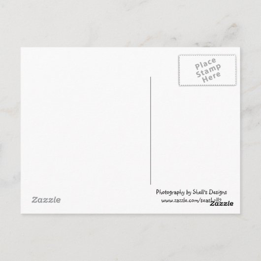 Banana Tree Postkarte (Rückseite)