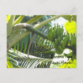 Banana Tree Postkarte