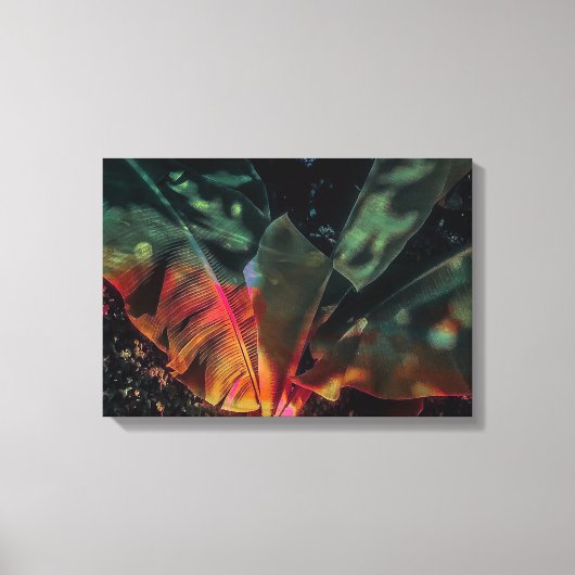 Banana Tree Tropicale Leinwanddruck (Vorderseite)