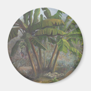 Banana Trees Magnet