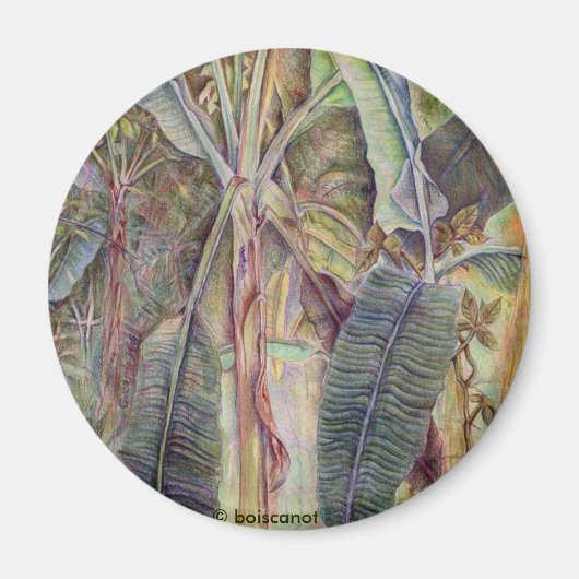 Banana Trees Magnet (Vorne)