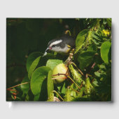 Bananaquit Bird Eating Tropical Photography Gästebuch (Vorderseite)
