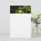 Bananaquit Bird essen tropische Fotografie Briefpapier (Stehend Vorderseite)