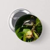 Bananaquit Bird essen tropische Fotografie Button (Vorne & Hinten)