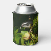 Bananaquit Bird essen tropische Fotografie Dosenkühler (Kanne Rückseite)