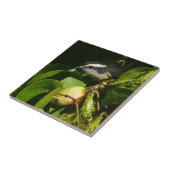 Bananaquit Bird essen tropische Fotografie Fliese (Seite)