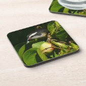 Bananaquit Bird essen tropische Fotografie Getränkeuntersetzer (Linke Seite)