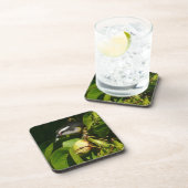 Bananaquit Bird essen tropische Fotografie Getränkeuntersetzer (Rechte Seite)