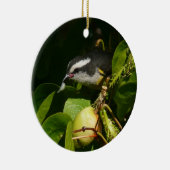 Bananaquit Bird essen tropische Fotografie Keramikornament (Rechts)