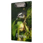 Bananaquit Bird essen tropische Fotografie Klemmbrett (Links)