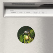 Bananaquit Bird essen tropische Fotografie Magnet (In Situ (Geschirrspüler))