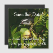 Bananaquit Bird essen tropische Fotografie Magnetkarte (Vorne/Hinten)