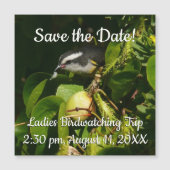 Bananaquit Bird essen tropische Fotografie Magnetkarte (Vorderseite)