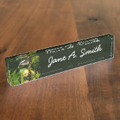 Bananaquit Bird essen tropische Fotografie Namensplakette (Seite)