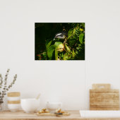 Bananaquit Bird essen tropische Fotografie Poster (Küche)