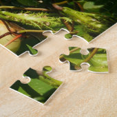 Bananaquit Bird essen tropische Fotografie Puzzle (Seite)