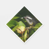 Bananaquit Bird essen tropische Fotografie Serviette (Ecke)