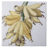 Banane, 1816 fliese (Vorderseite)