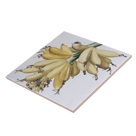 Banane, 1816 fliese (Seite)