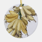Banane, 1816 keramikornament (Vorne)