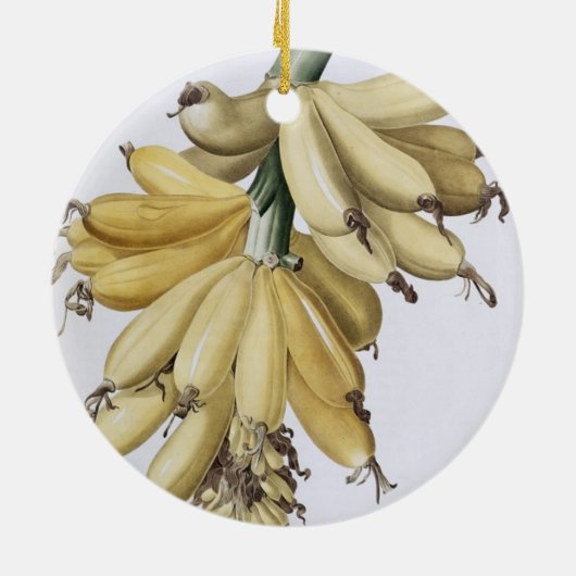 Banane, 1816 keramikornament (Hinten)