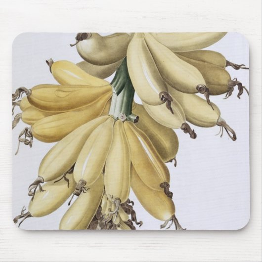 Banane, 1816 mousepad (Vorne)